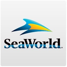 SeaWorld Orlando Dolphin Encounter - ADD-ON